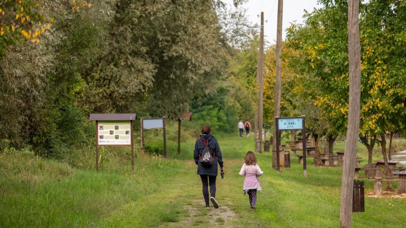 Aktivnosti za obiteljsku povezanost